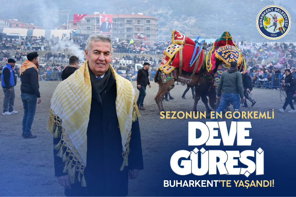 Buharkent Deve Güreşleri renkli görüntülere sahne oldu!...
